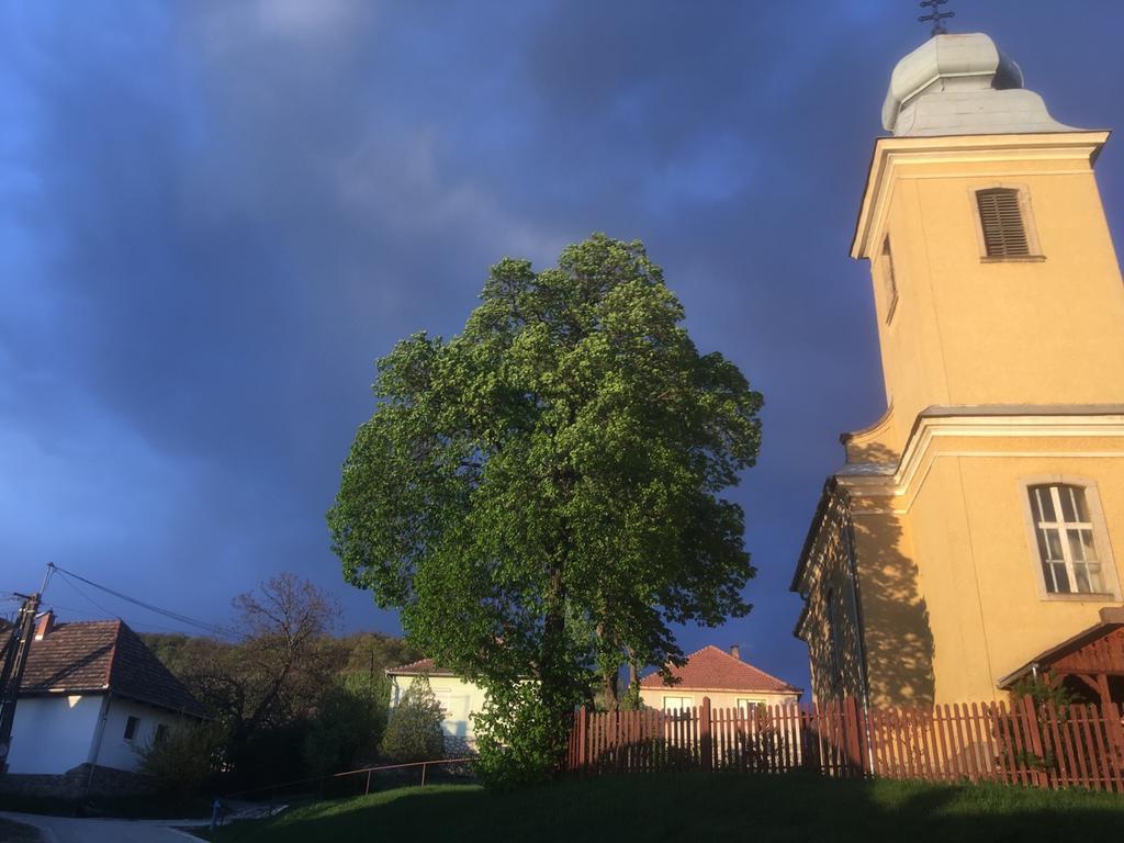 Willa Bell House Bukkzserc Zewnętrze zdjęcie